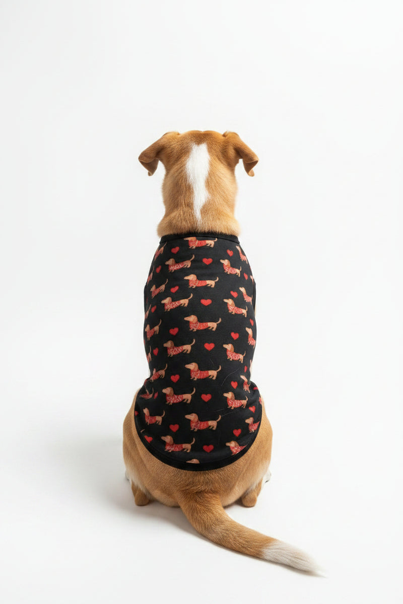 Dog wearing a black shirt with a humorous text design on a white background