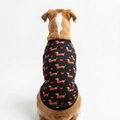 Dog wearing a black shirt with a humorous text design on a white background