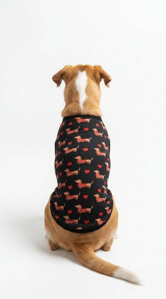 Dog wearing a black shirt with a humorous text design on a white background