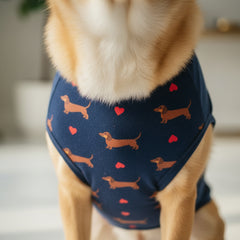 Dog wearing a blue shirt with a red heart and text on a white background